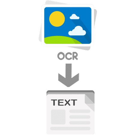 Image to text transcription Services